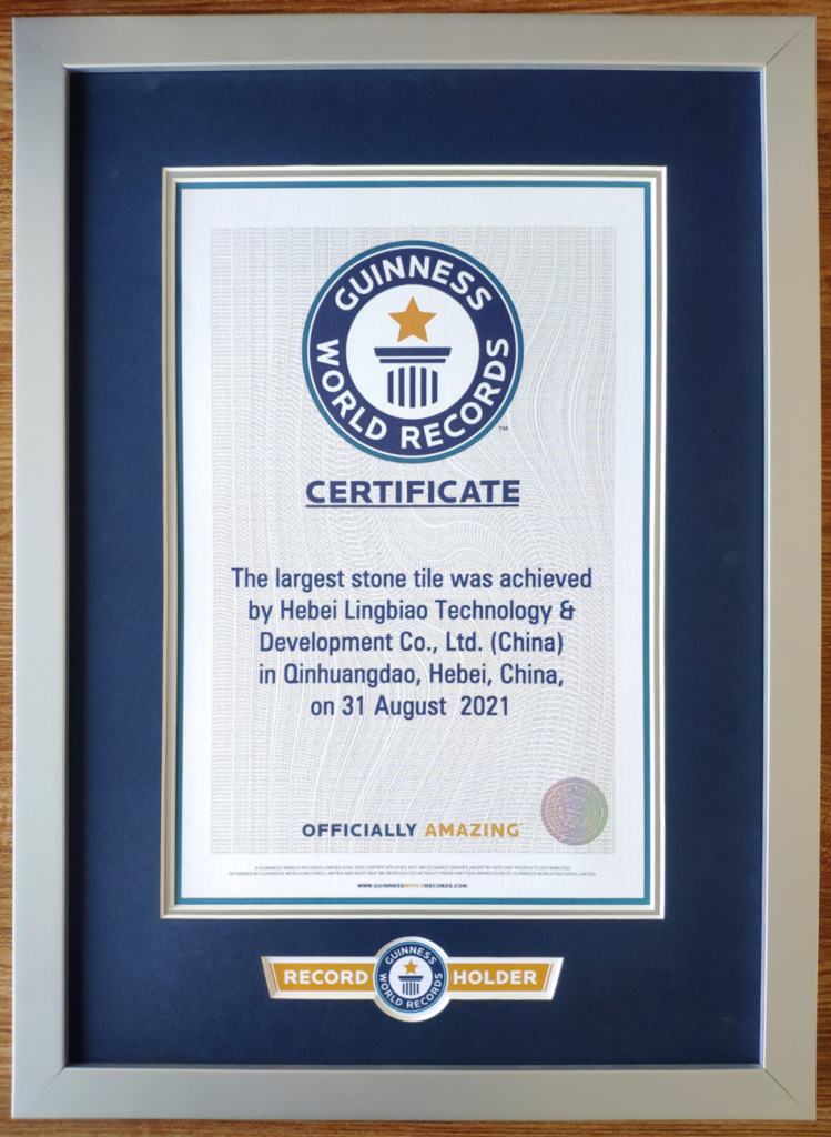 LingBiao--Guinness World Records Certificate