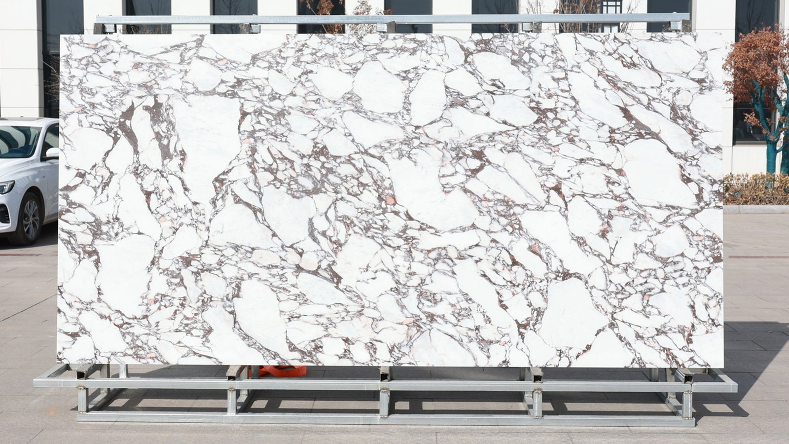Calacatta Viola slab photo