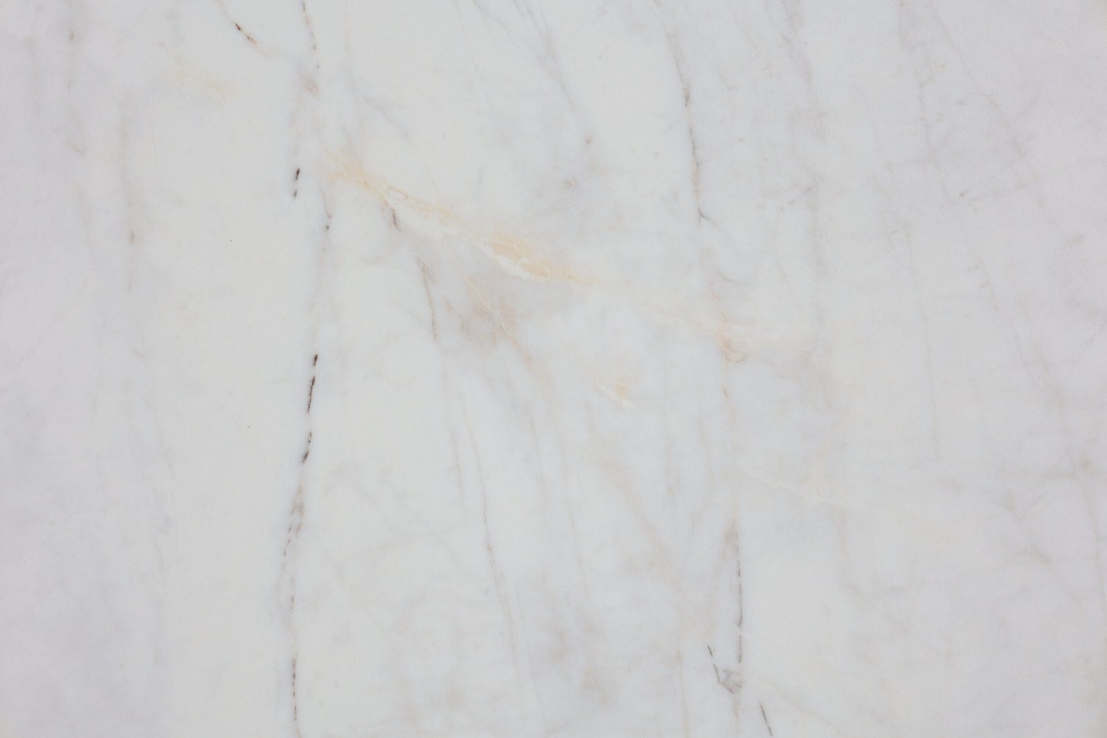 Carrara White Overall Renderings