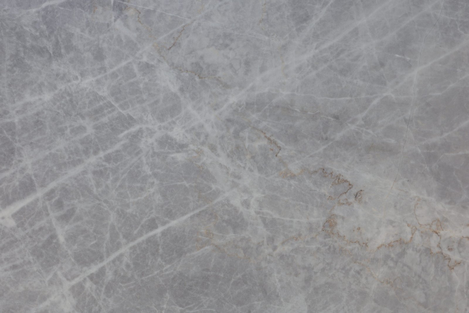 Earl Grey Overall Renderings