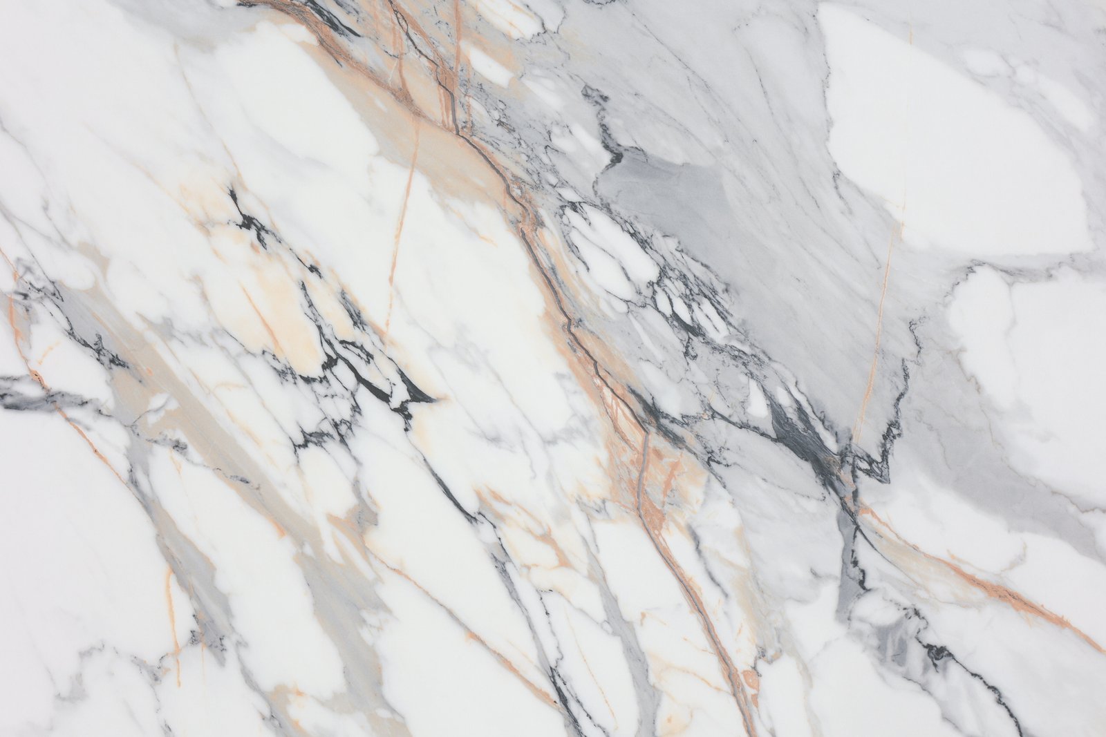 Luxury White Overall Renderings