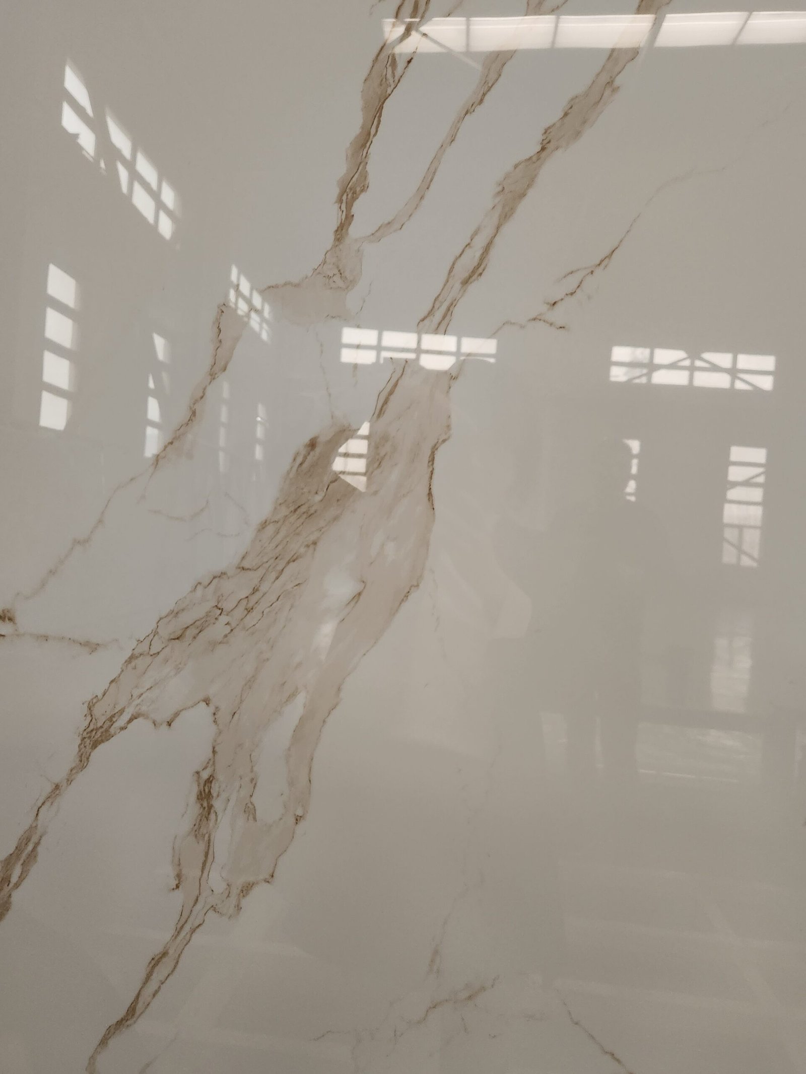 Calacatta Gold X – Polished Detail Images