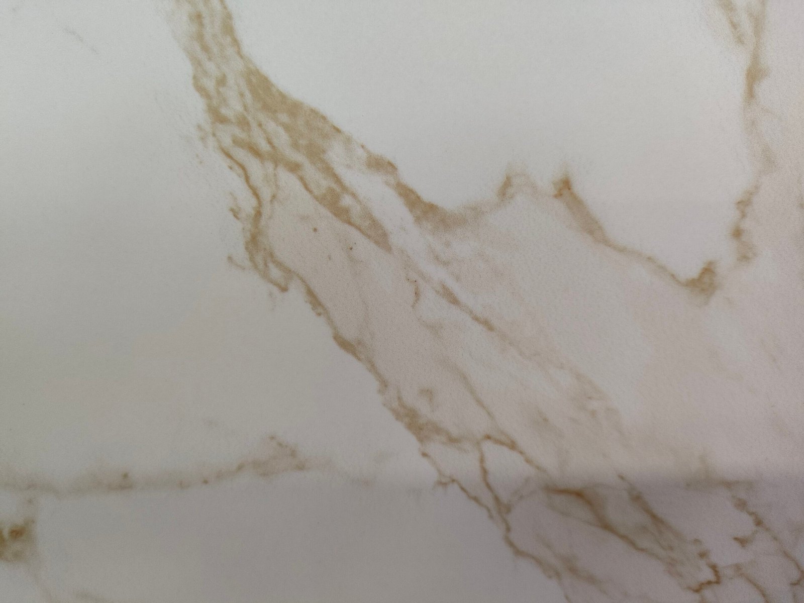 Calacatta Gold X – Polished Overall Renderings