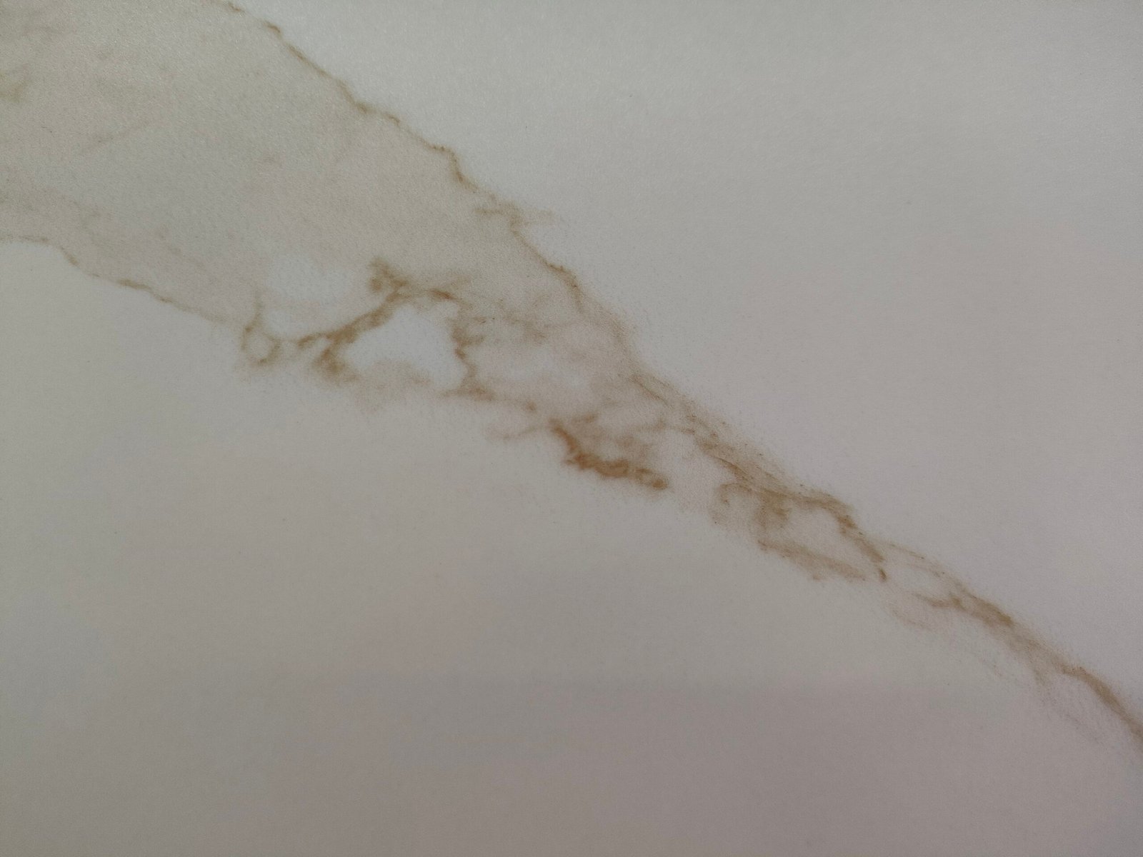 Calacatta Gold X – Polished Overall Renderings