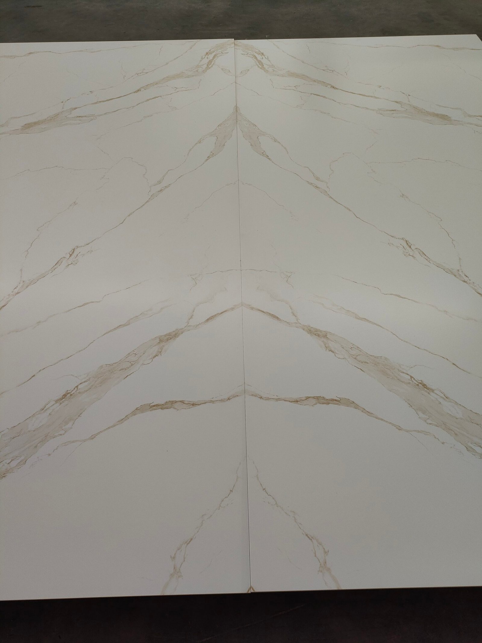 Calacatta Gold X – Polished Detail Images