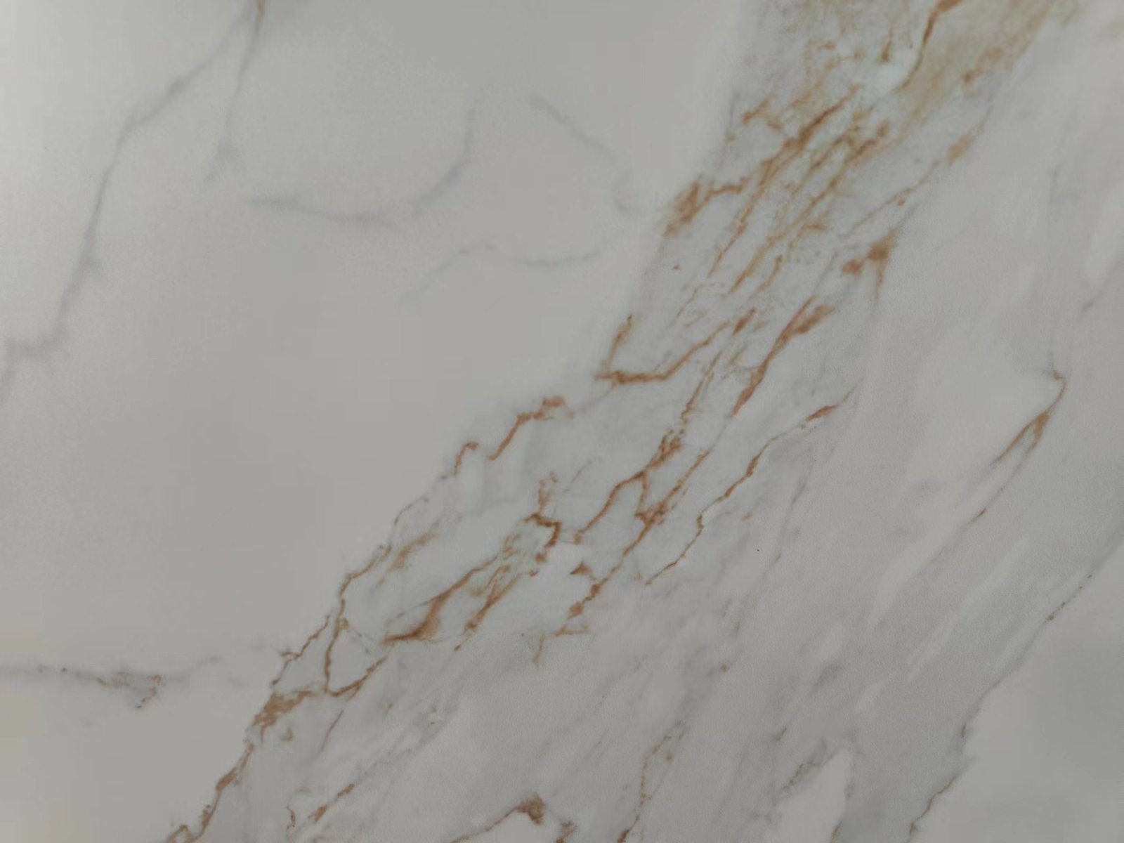 Cardenaskin – Polished Overall Renderings