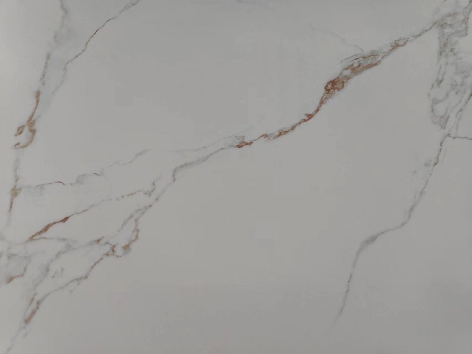 Cardenaskin – Polished Detail Images