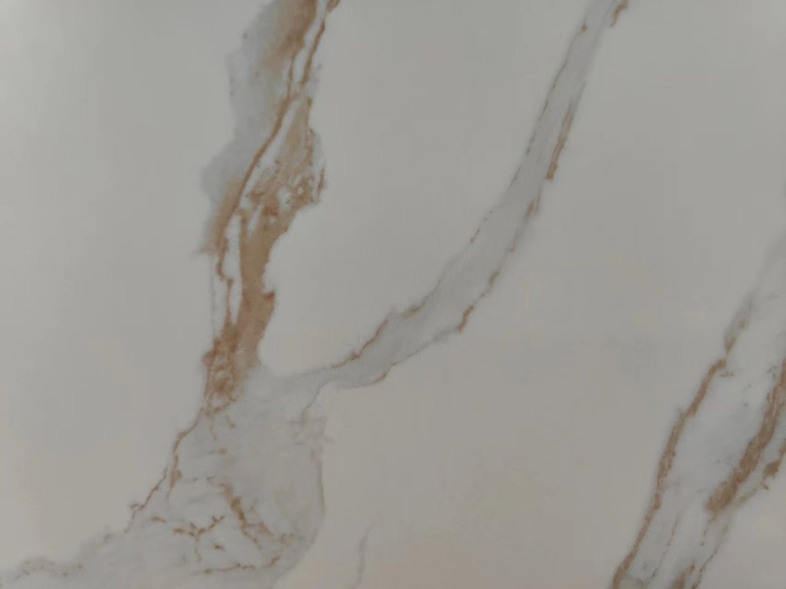 Cardenaskin – Polished Detail Images