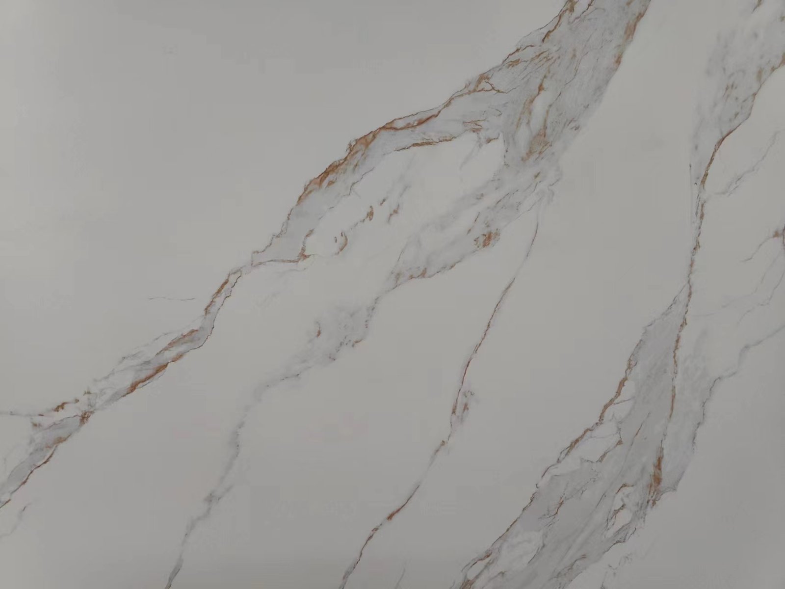 Cardenaskin – Polished Overall Renderings