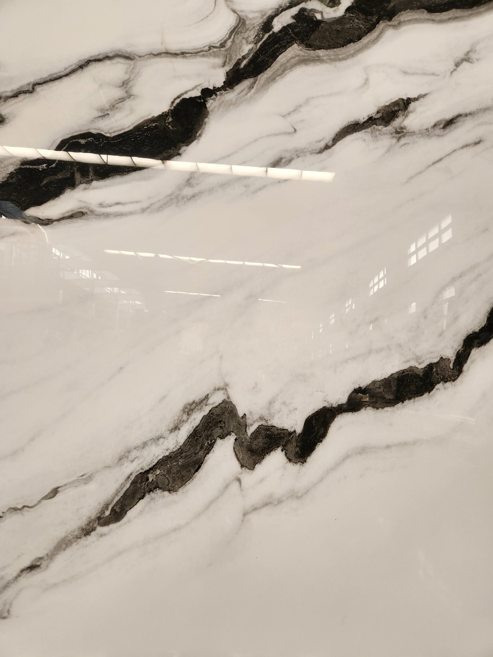 Panda White Detail Images