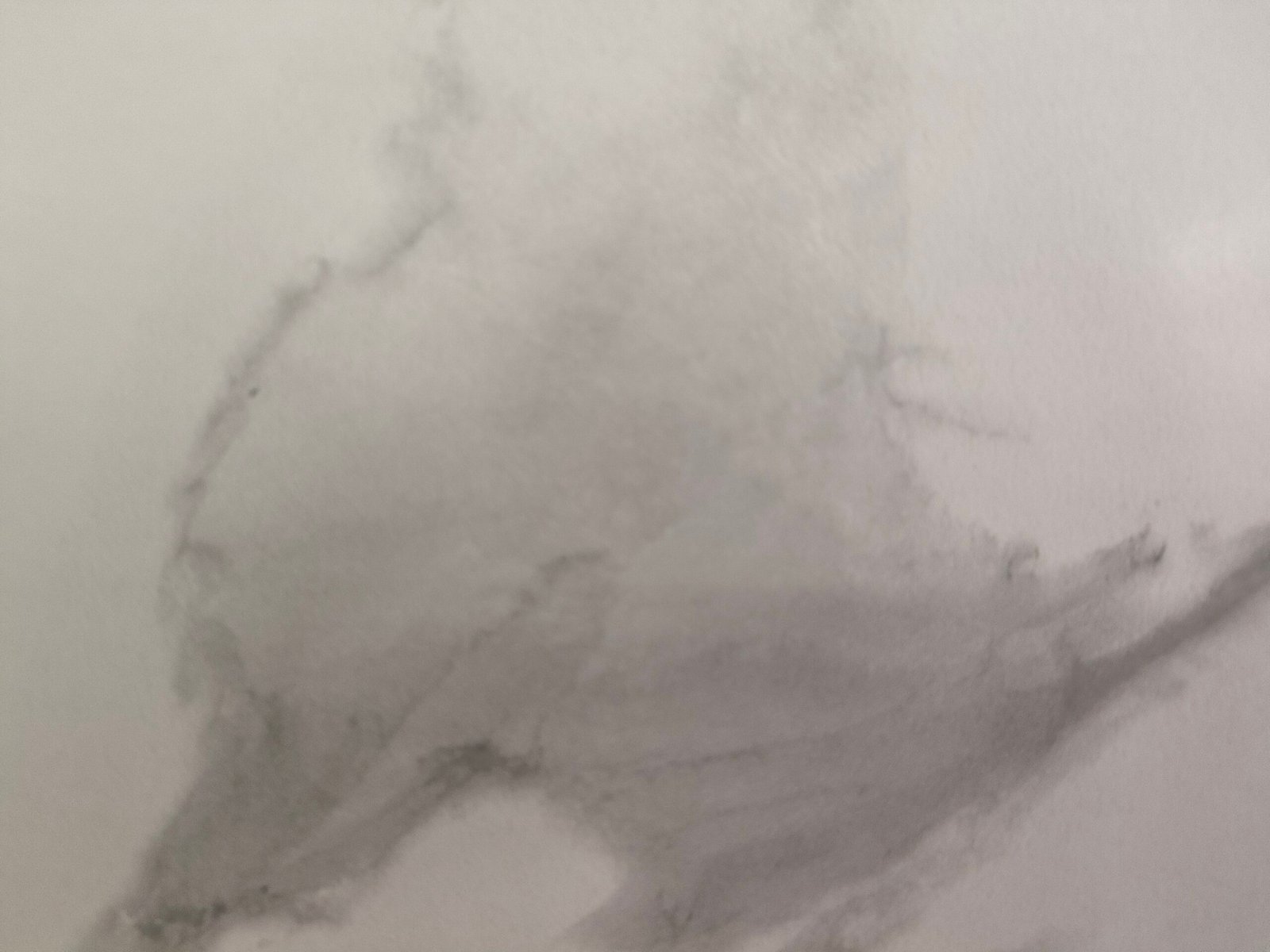 Rosha White – Polished Detail Images