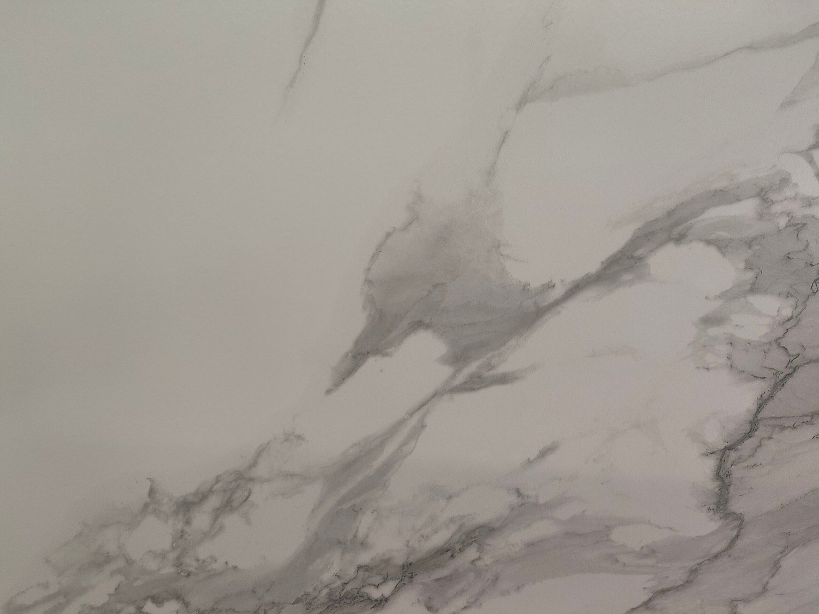 Rosha White – Polished Detail Images